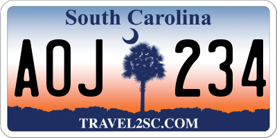 SC license plate AOJ234