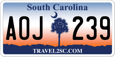 SC license plate AOJ239
