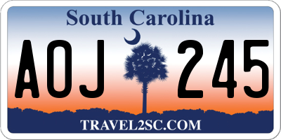 SC license plate AOJ245