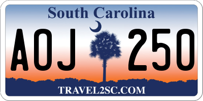 SC license plate AOJ250