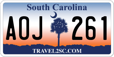 SC license plate AOJ261