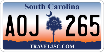SC license plate AOJ265