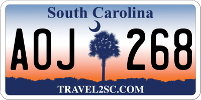SC license plate AOJ268