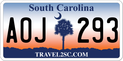 SC license plate AOJ293