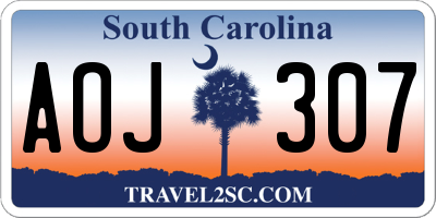 SC license plate AOJ307