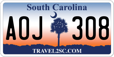 SC license plate AOJ308