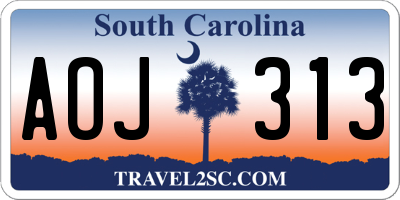 SC license plate AOJ313