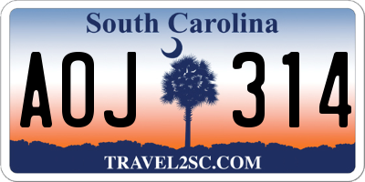 SC license plate AOJ314