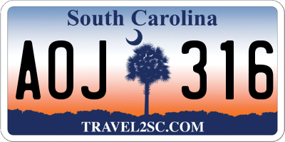 SC license plate AOJ316