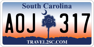 SC license plate AOJ317