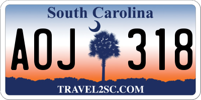 SC license plate AOJ318
