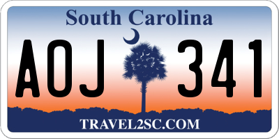 SC license plate AOJ341