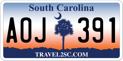 SC license plate AOJ391