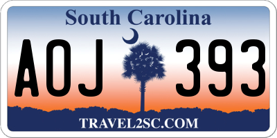 SC license plate AOJ393