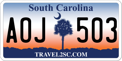 SC license plate AOJ503