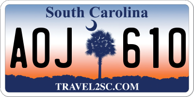 SC license plate AOJ610