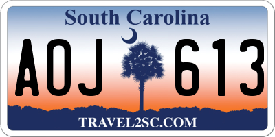 SC license plate AOJ613