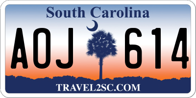 SC license plate AOJ614