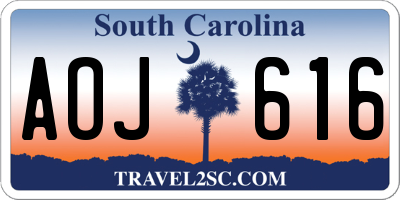 SC license plate AOJ616