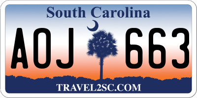 SC license plate AOJ663