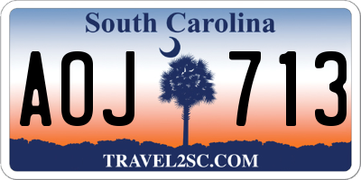 SC license plate AOJ713