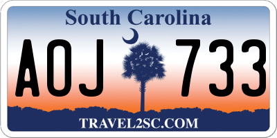 SC license plate AOJ733