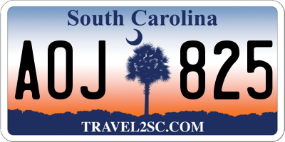 SC license plate AOJ825