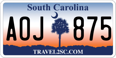 SC license plate AOJ875