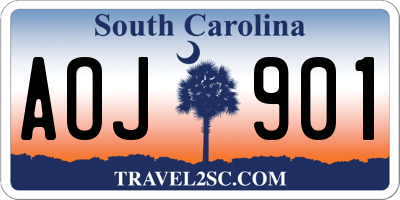SC license plate AOJ901