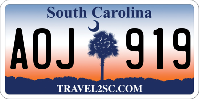 SC license plate AOJ919