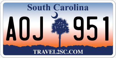 SC license plate AOJ951