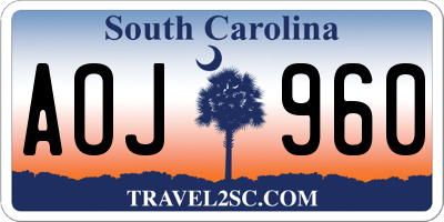 SC license plate AOJ960