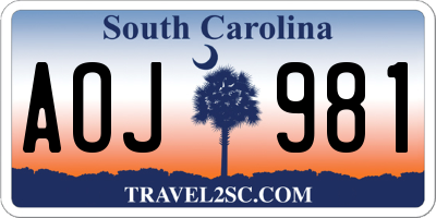 SC license plate AOJ981