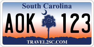 SC license plate AOK123