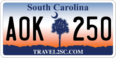 SC license plate AOK250