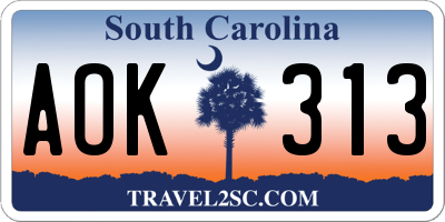 SC license plate AOK313