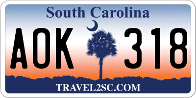 SC license plate AOK318