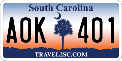 SC license plate AOK401