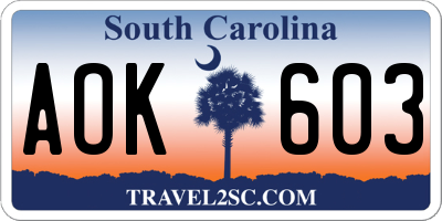SC license plate AOK603