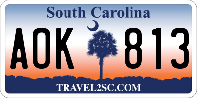SC license plate AOK813