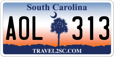 SC license plate AOL313
