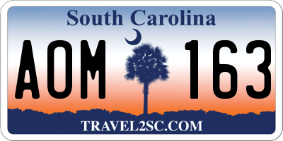 SC license plate AOM163