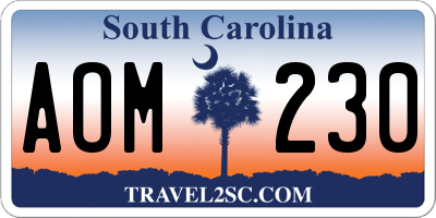 SC license plate AOM230