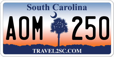 SC license plate AOM250