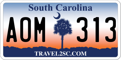 SC license plate AOM313