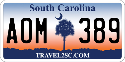 SC license plate AOM389