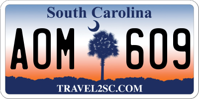 SC license plate AOM609