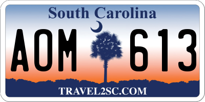 SC license plate AOM613