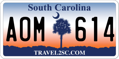 SC license plate AOM614