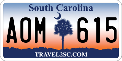 SC license plate AOM615